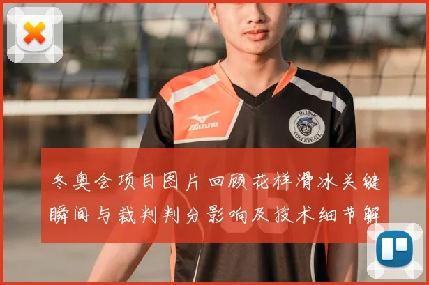 冬奥会项目图片回顾花样滑冰关键瞬间与裁判判分影响及技术细节解读