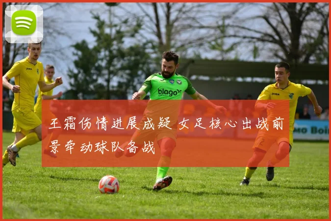 王霜伤情进展成疑 女足核心出战前景牵动球队备战