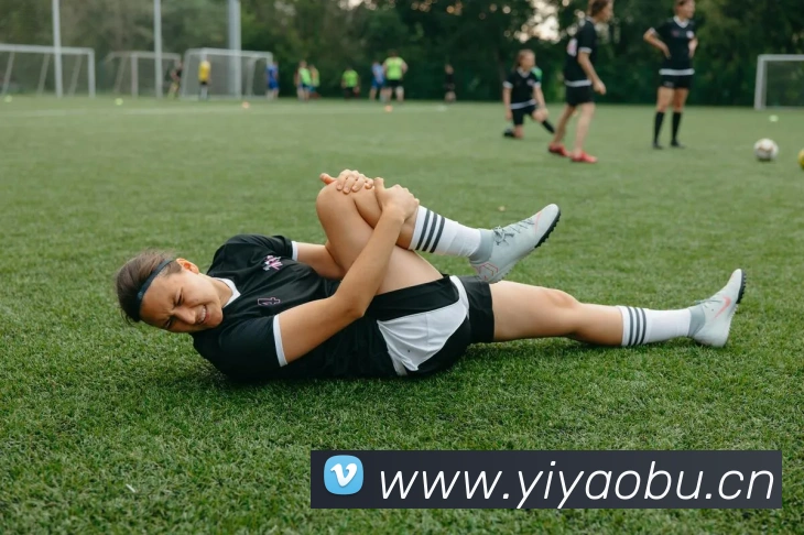 mksports网站平台生态图